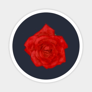 Red Red Rose Magnet